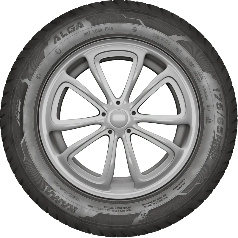 KAMA ALGA (НК-531) нешип в Андреаполе — KAMA TYRES KAMA ALGA (НК-531) нешип в Андреаполе