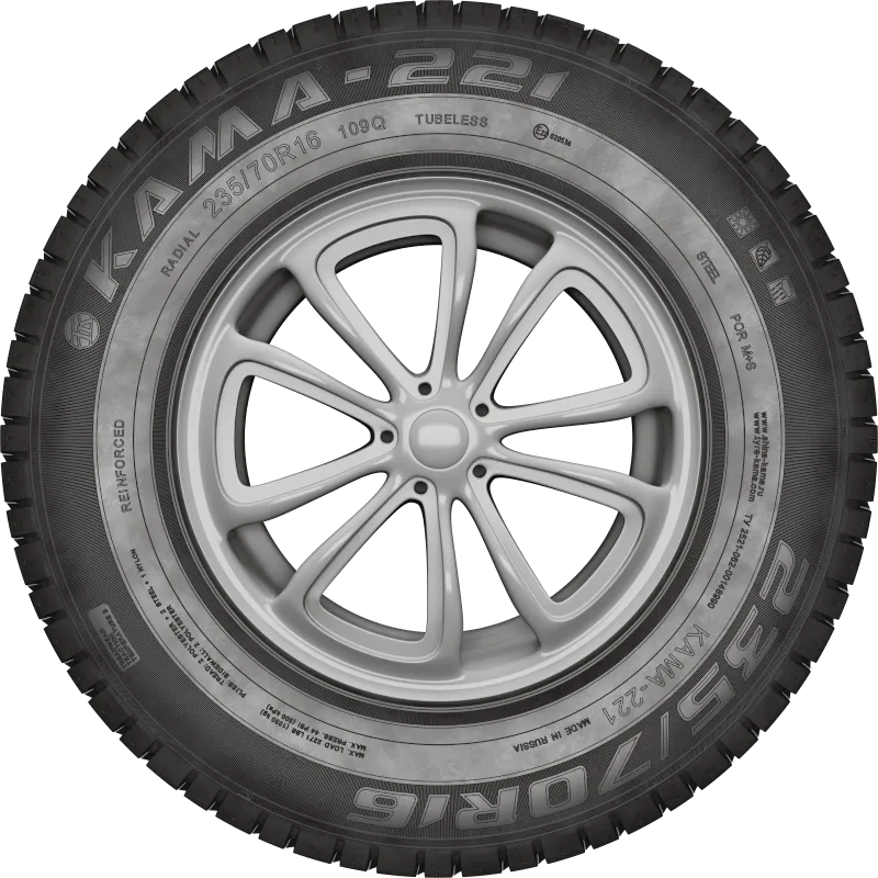 KAMA-221 в Андреаполе — KAMA TYRES KAMA-221 в Андреаполе
